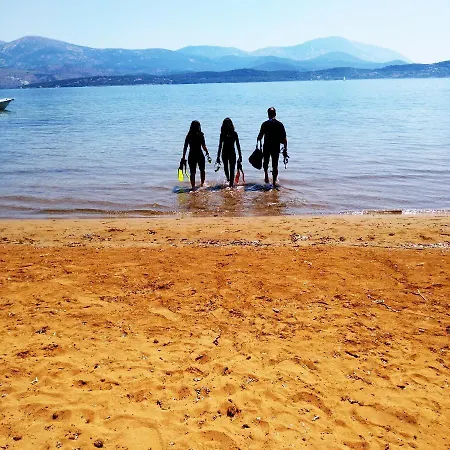 Alekos Beach Houses-Alekos Beach Complex Apartment Lixouri