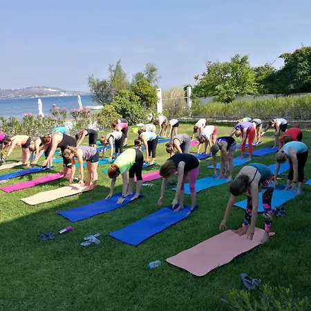 Alekos Beach Houses-Alekos Beach Complex