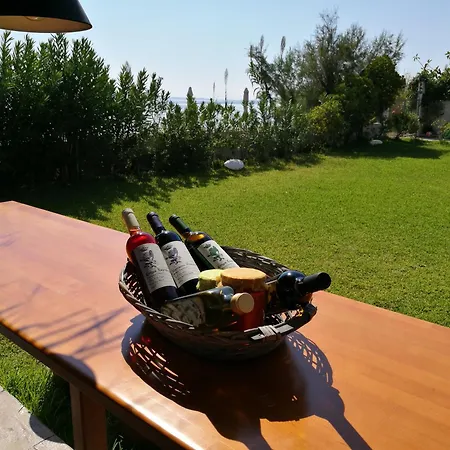 Apartment Alekos Beach Houses-Alekos Beach Complex