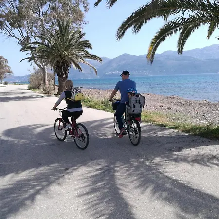 Apartment Alekos Houses-alekos Complex *