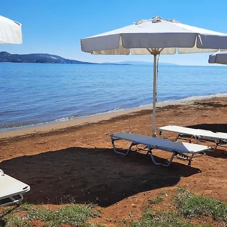 Apartment Alekos Houses-alekos Complex Lixouri